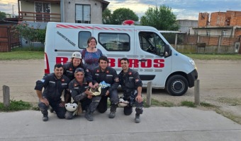 PROFESIONALES DE ZOONOSIS INTERVINIERON EN LA ASISTENCIA SANITARIA DE LA GATA SOBREVIVIENTE AL DERRUMBE